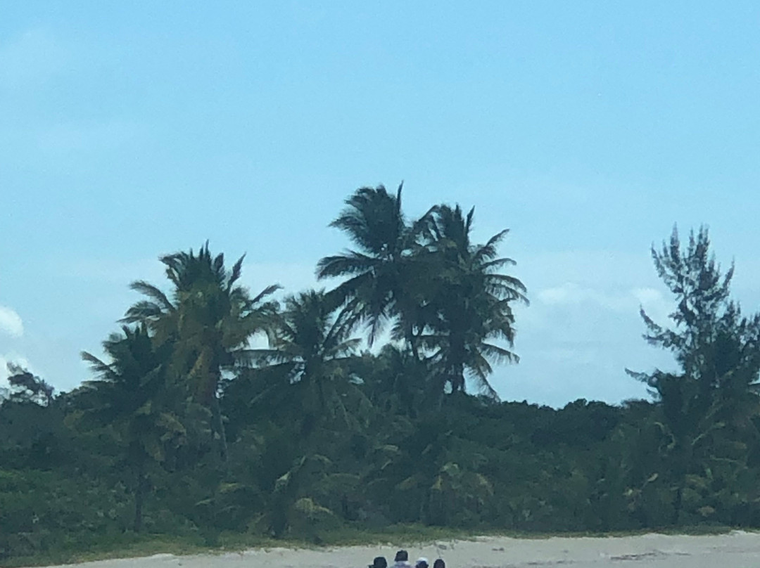 Barra do Jiquirica Beach-Valenca必去景点