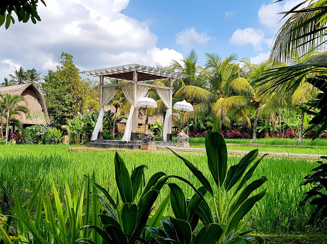 湿地边缘温泉别墅酒店主图