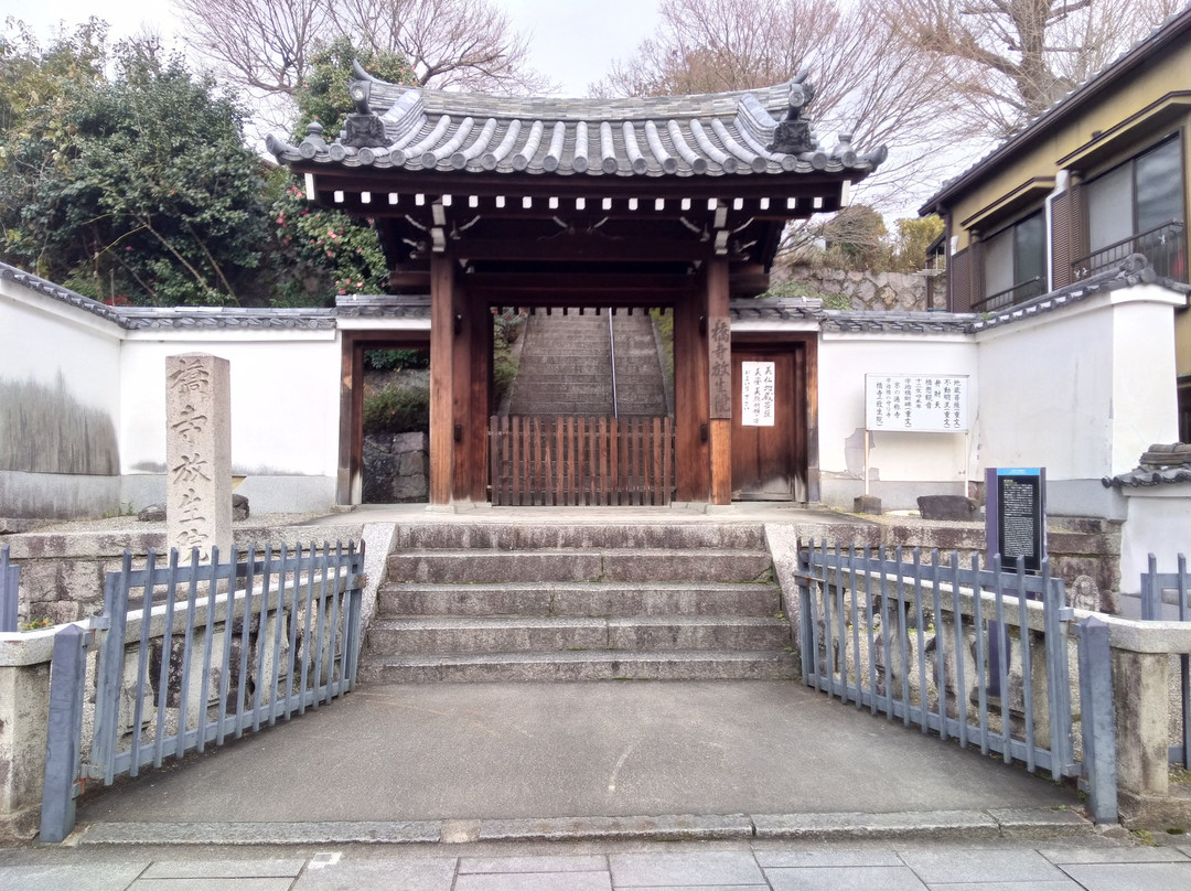 Hojo-in Temple-宇治市必去景点