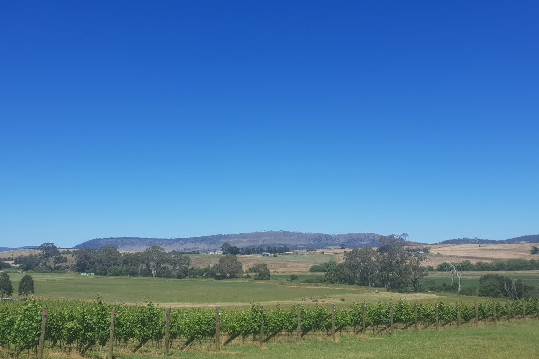 Wobbly Boot Vineyard-Campania必去景点