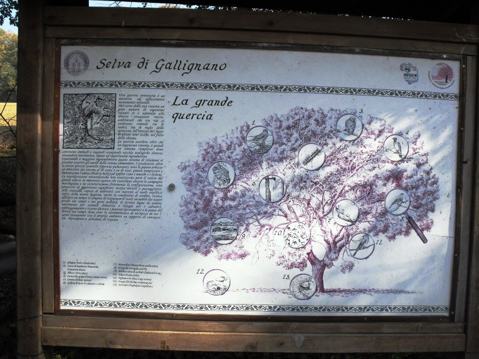 Orto Botanico Selva di Gallignano-Gallignano必去景点