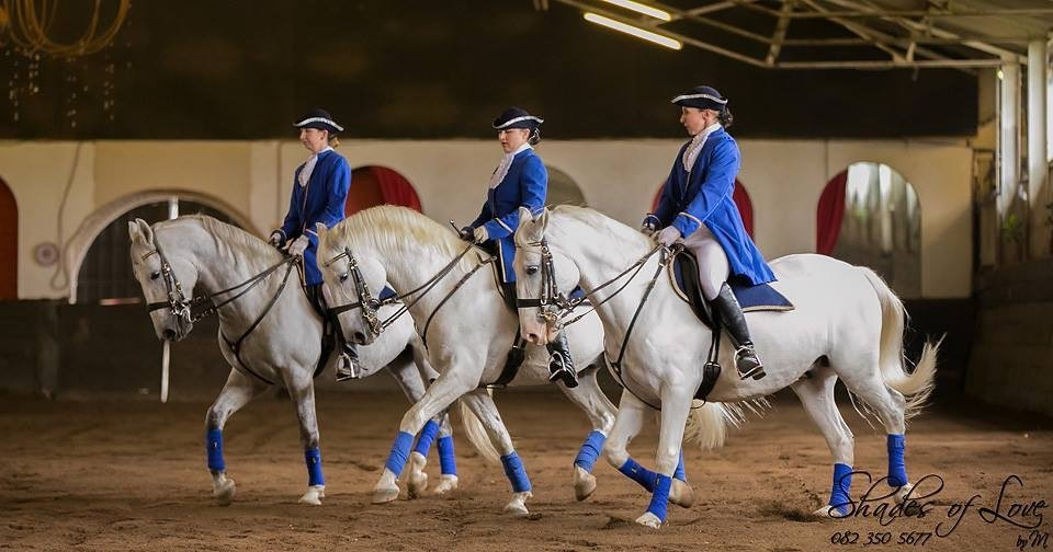 The South African Lipizzaners景点图片