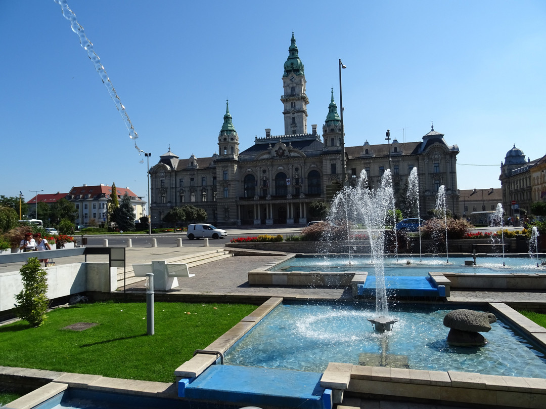 Gyor Town Hall景点图片