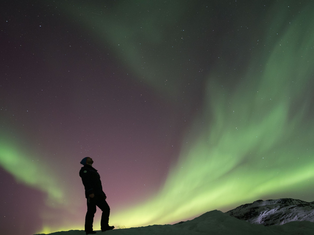 Northern Horizon-特罗姆瑟必去景点