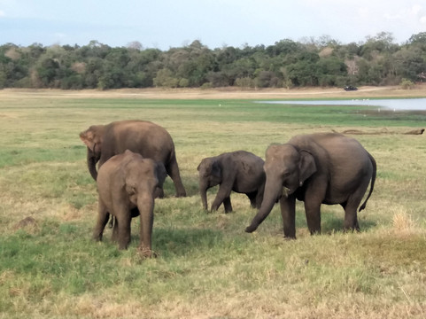 Dayan Tours-卡图纳耶克必去景点