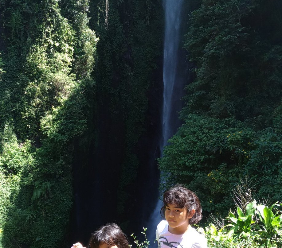 Putuk Truno Waterfall景点图片