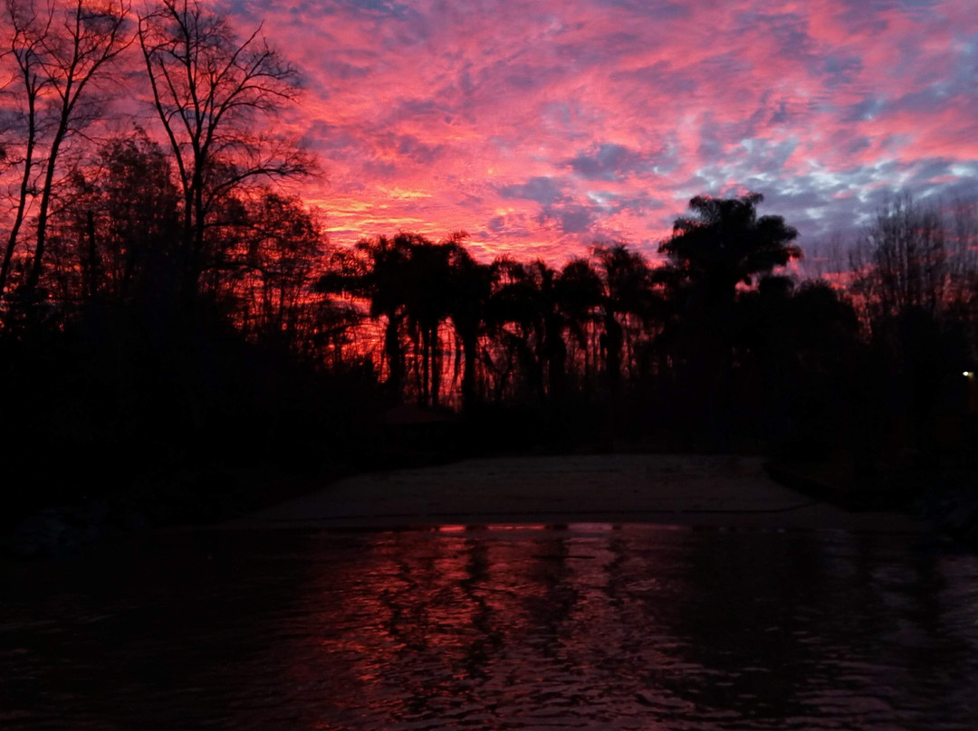 Gaia Hostal Delta主图