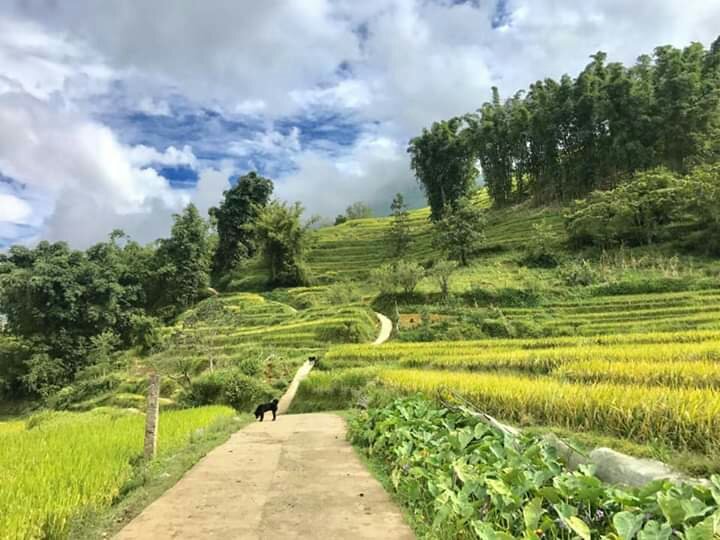 Sapa Big Tree Hmong Homestay-官方