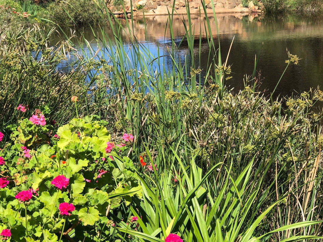 Peace Valley Guesthouse主图