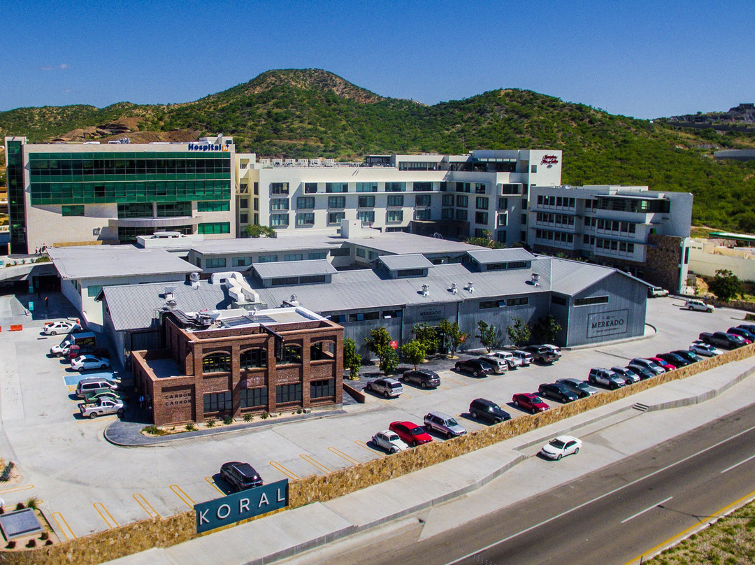 Koral Center-圣何塞卡波必去景点