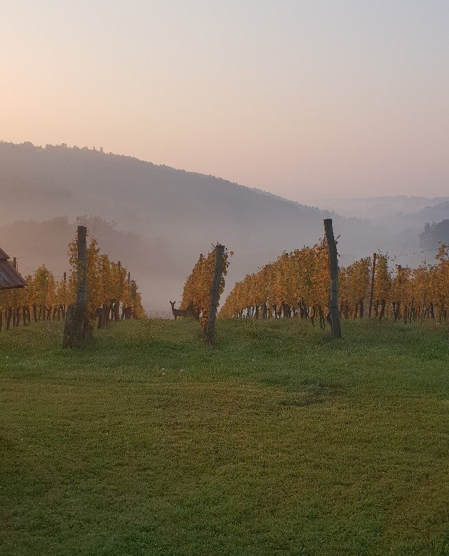 Gjerkes Winery景点图片