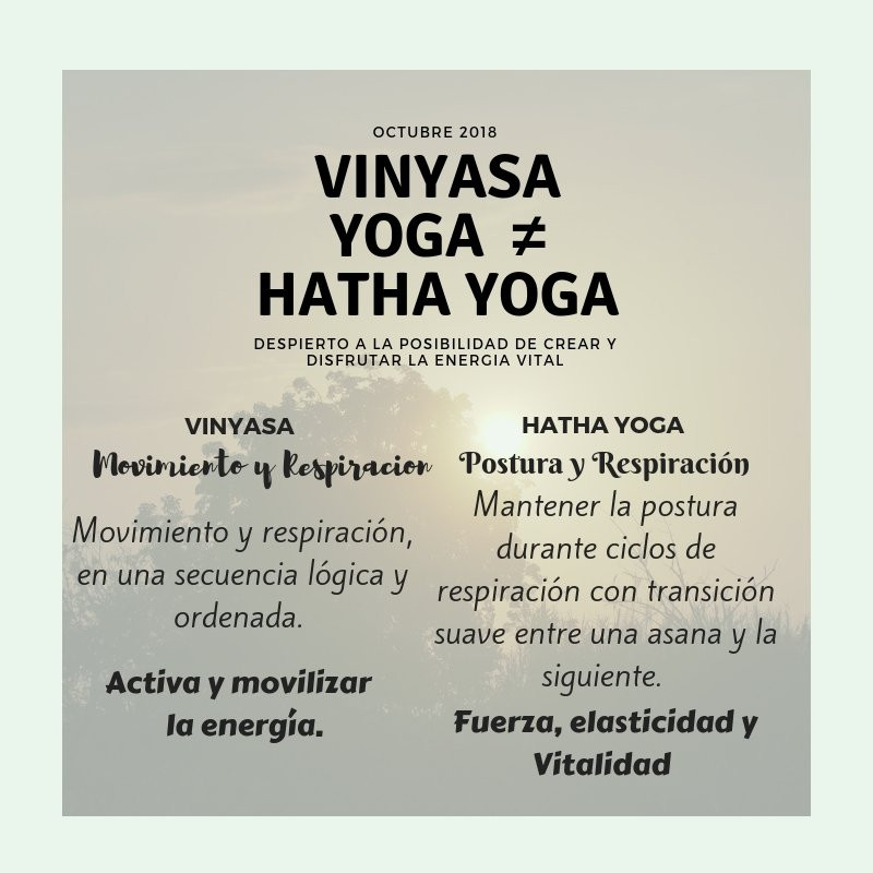 Vive Yoga Cartagena景点图片