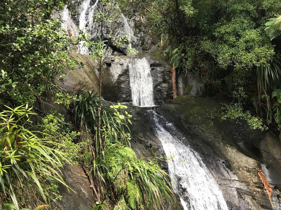 Fairy Falls-奥克兰必去景点