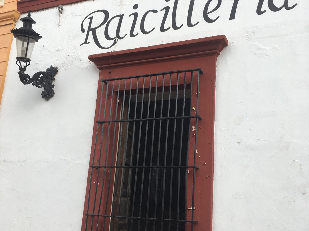 Mascota餐馆和美食-La Raicillería Galería Bar