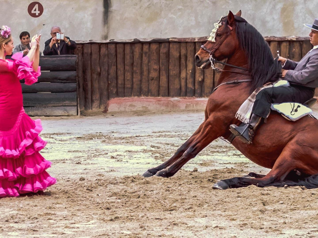 Cervantour-阿尔卡拉-德-哈纳雷斯必去景点