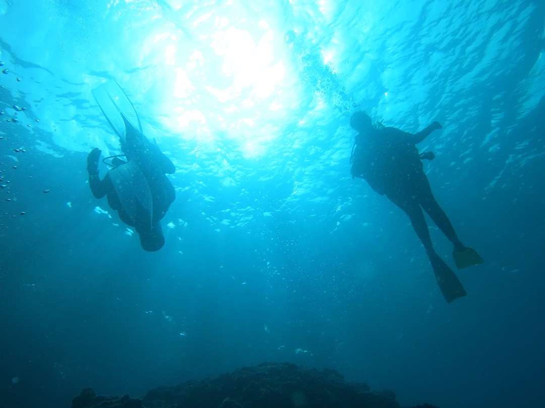 Nemo Diving Center - Fujairah景点图片