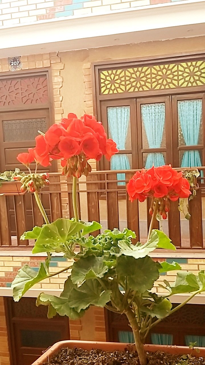 Hotel Saraye Ordibehesht-浴室