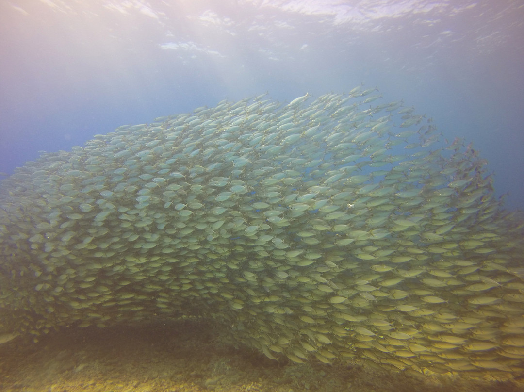 Lau Lau Beach-塞班岛必去景点