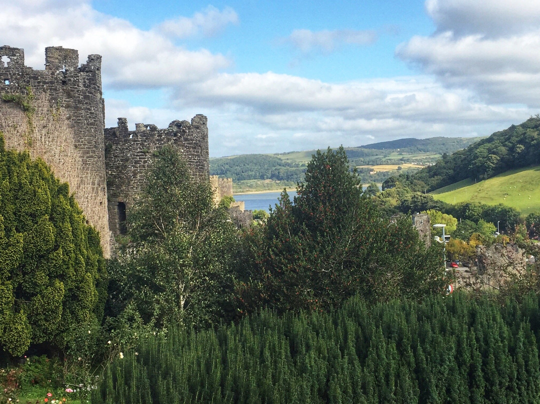 Bryn Bed & Breakfast主图