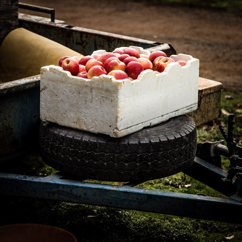 Sm'Apples Orchard景点图片