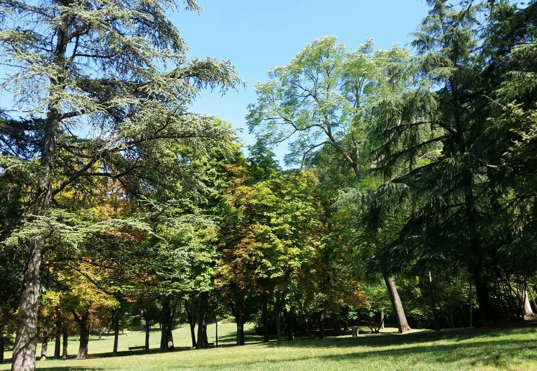 Parco della Chiusa景点图片
