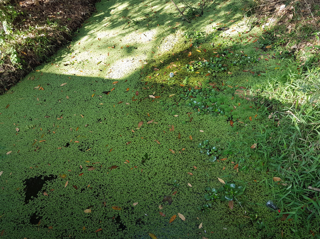 Almeida Sales Fountain-Aguas de Sao Pedro必去景点