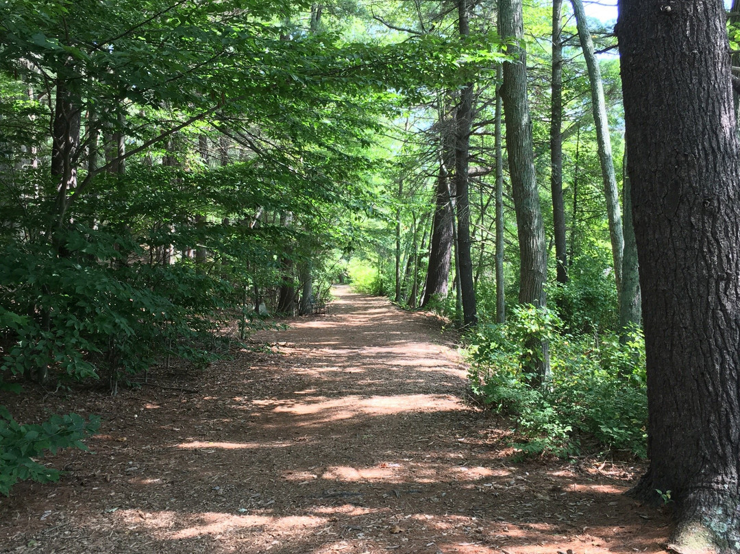 Mass Audubon Stony Brook Wildlife Sanctuary景点图片