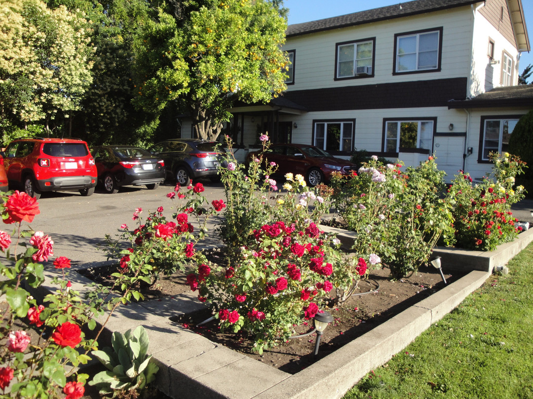 Cinnamon Bear Creekside Inn主图