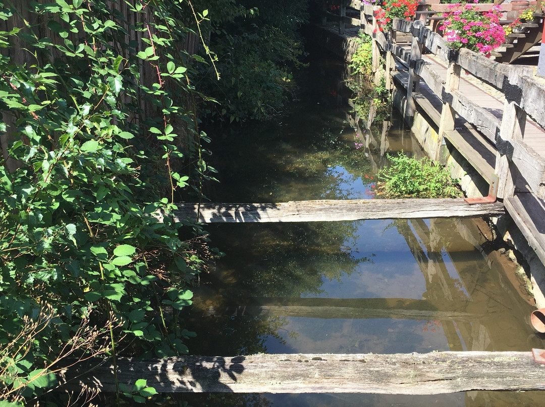 Mühlen-Museum Historische Wassermühle Birgel-Birgel必去景点