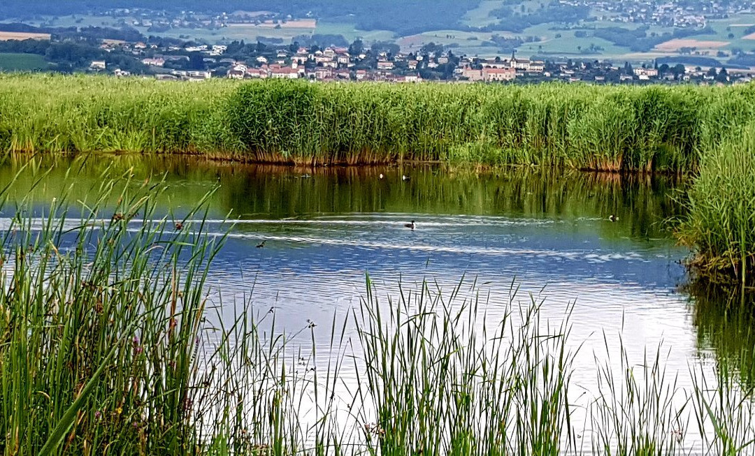 Centre Pro Natura de Champ-Pittet-Cheseaux-Noreaz必去景点