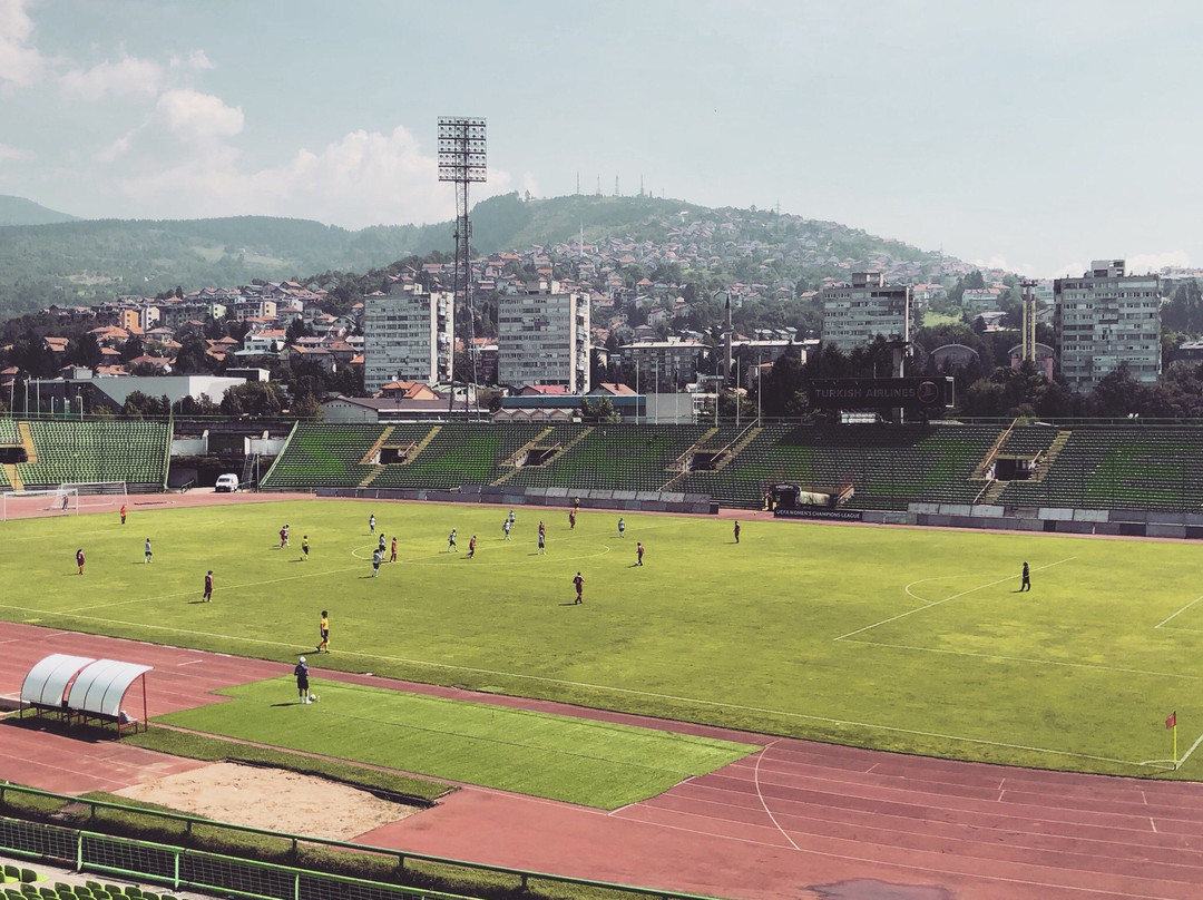 Asim Ferhatović Hase Stadium景点图片