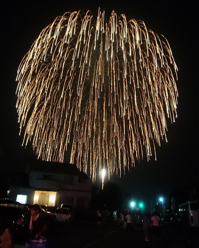 Sakura City Fireworks-佐仓市必去景点