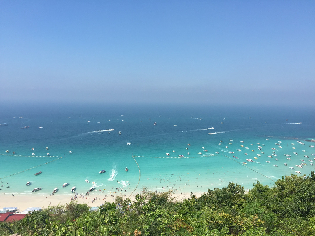 Fly Koh Larn Skypark-珊瑚岛必去景点