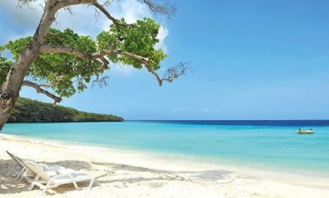 The Natural Private Tours-威廉斯塔德必去景点