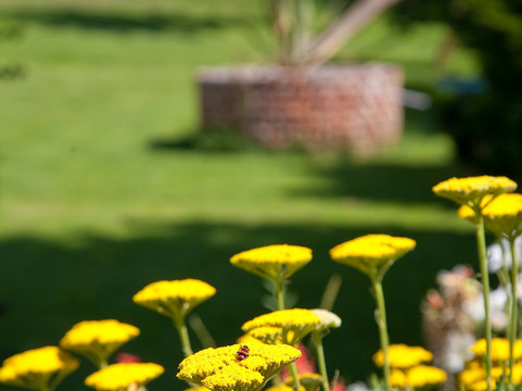 米特尔蓬克特酒店主图
