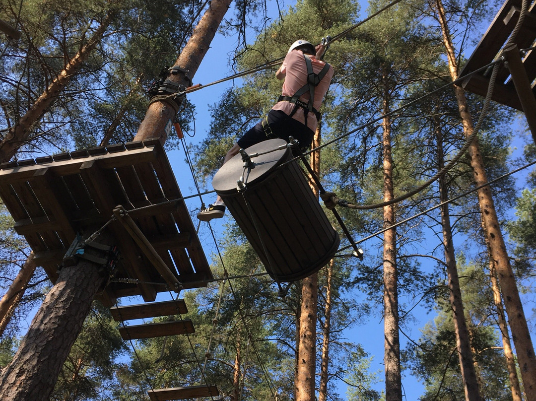 Treetop Adventure Park景点图片