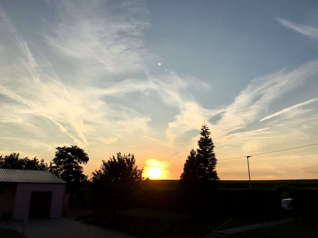 Landgut Schill主图