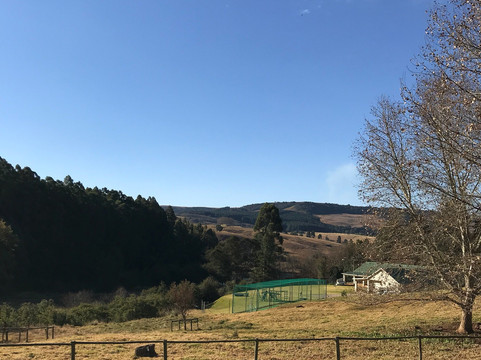 Lavender Trout Guest Farm