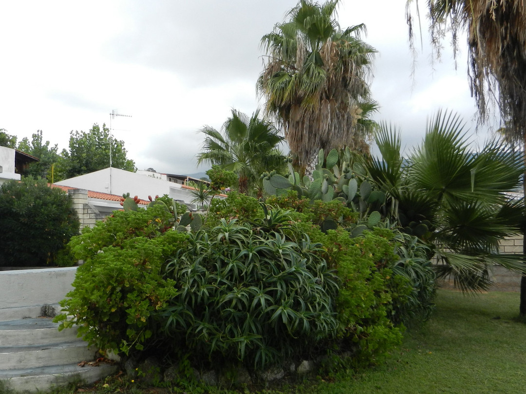 Capo Vaticano Seaview Apartments主图