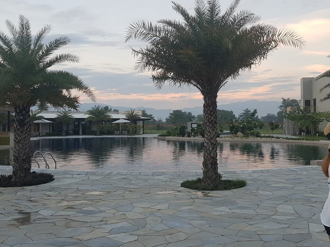 Tiger Palace Resort主图