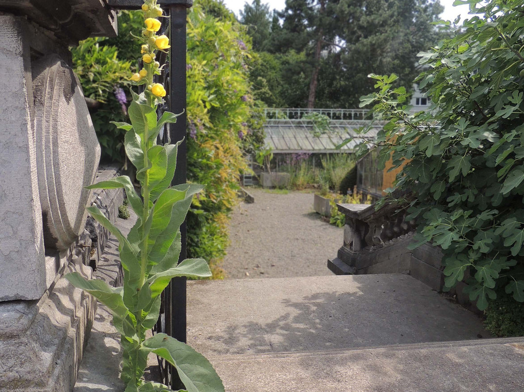 Serres du Jardin botanique de Liège景点图片