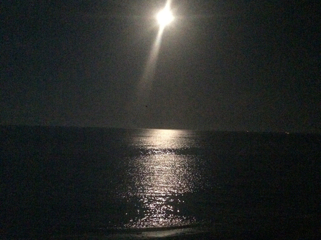 Playa del Algarrobico景点图片