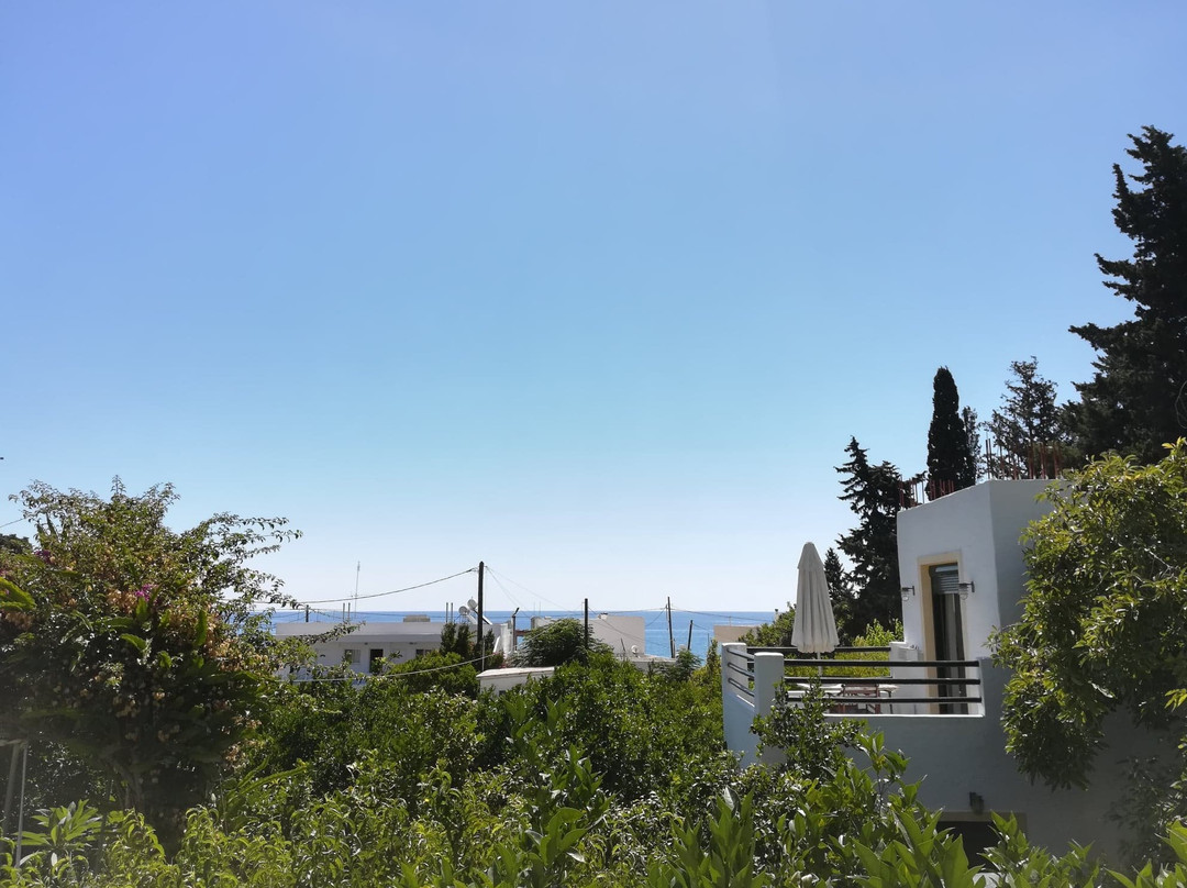 Alpha Stegna Sun主图