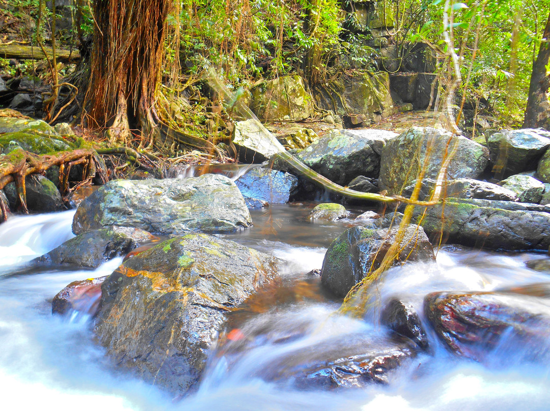 Stoney Creek Trail景点图片