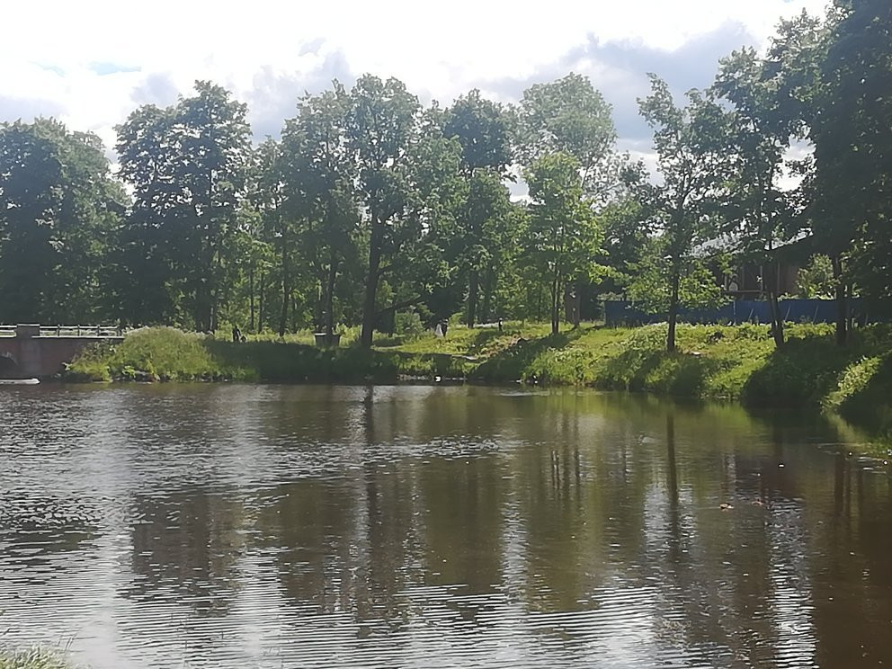 Babolovskiy Park景点图片