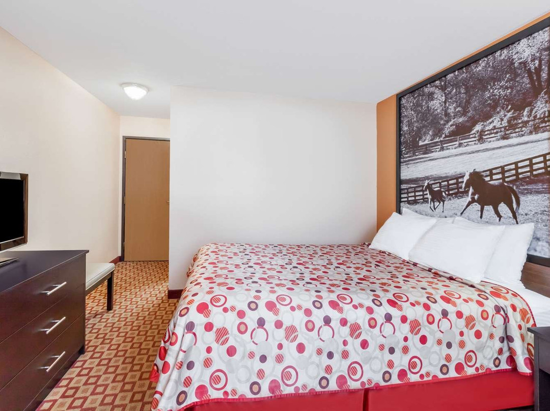 Super 8 South By Wyndham主图