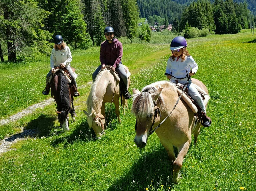 Charlotte Horse Riding景点图片