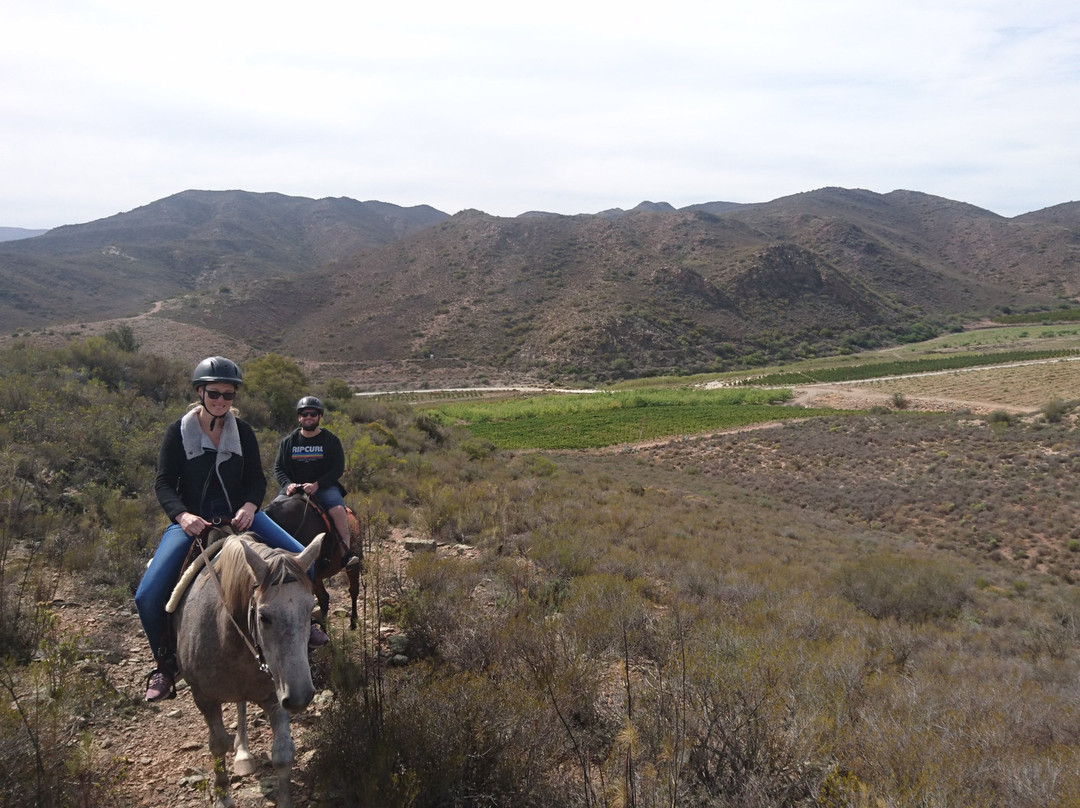 Heidiland Horseback Adventures-蒙提古必去景点