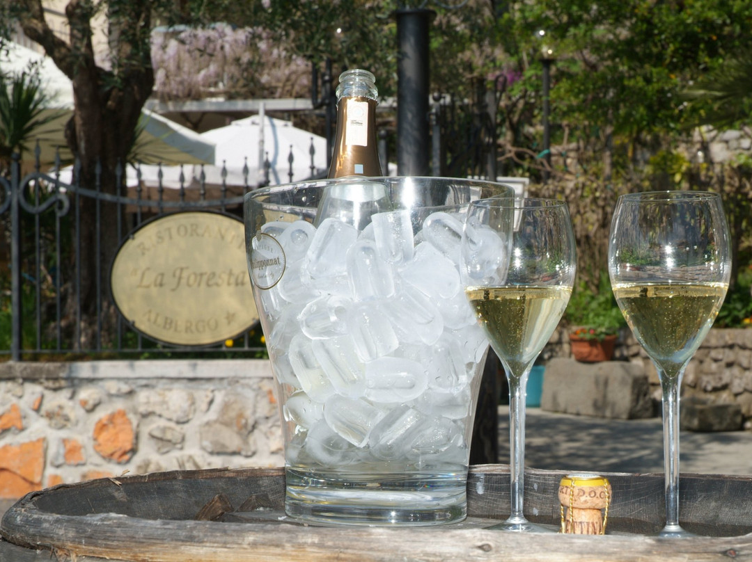 Albergo Ristorante La Foresta主图