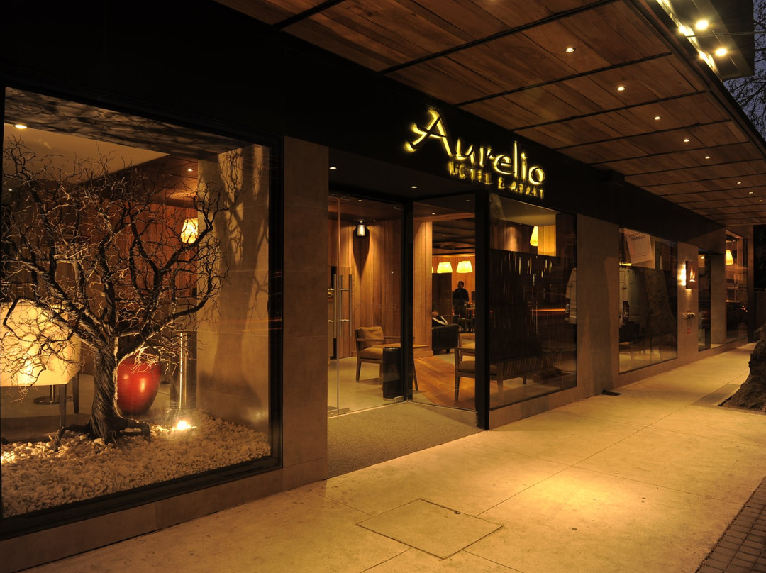 Aurelio Apart Hotel主图